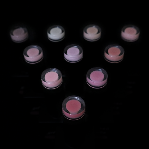 Sheer Nude & Pinks Gel Polish Set (15ml)